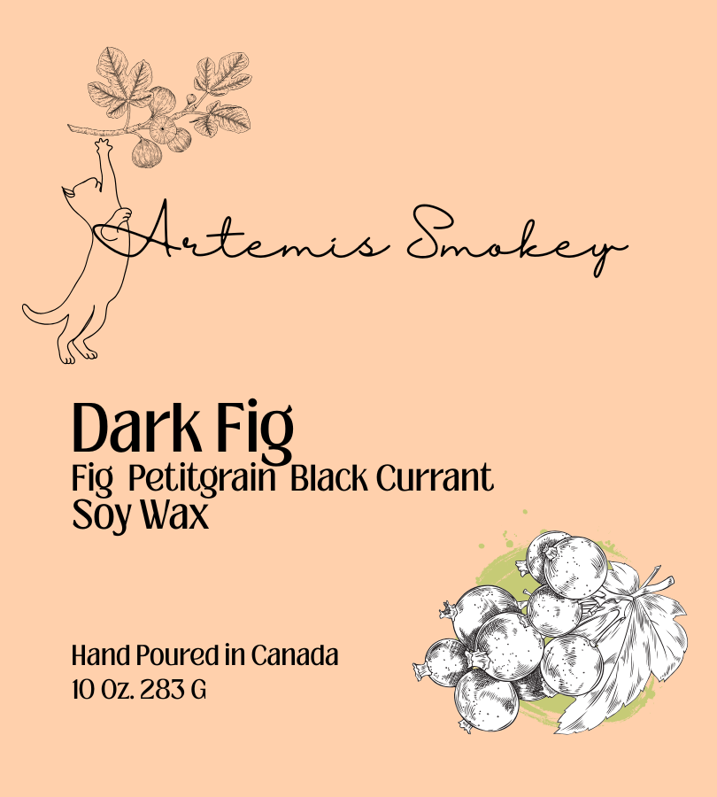 Dark Fig – Fig Black Currant Soy Candle